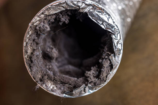 Best Emergency Air Duct Cleaning  in Timber Pines, FL