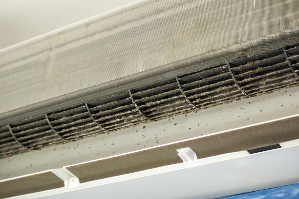 Best Affordable HVAC Duct Cleaning  in Timber Pines, FL