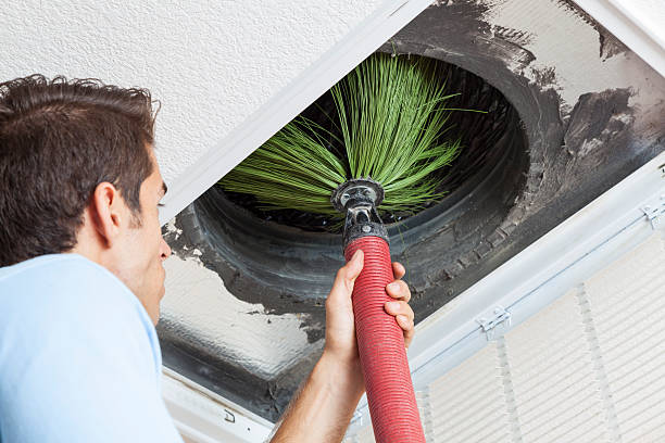 Best Ductwork Cleaning Services  in Timber Pines, FL